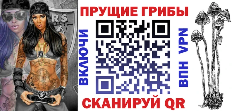 где продают   Шилка  Галлюциногенные грибы мицелий 